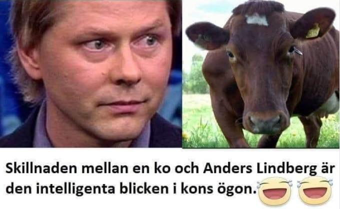 SDSTEFFE tweet media