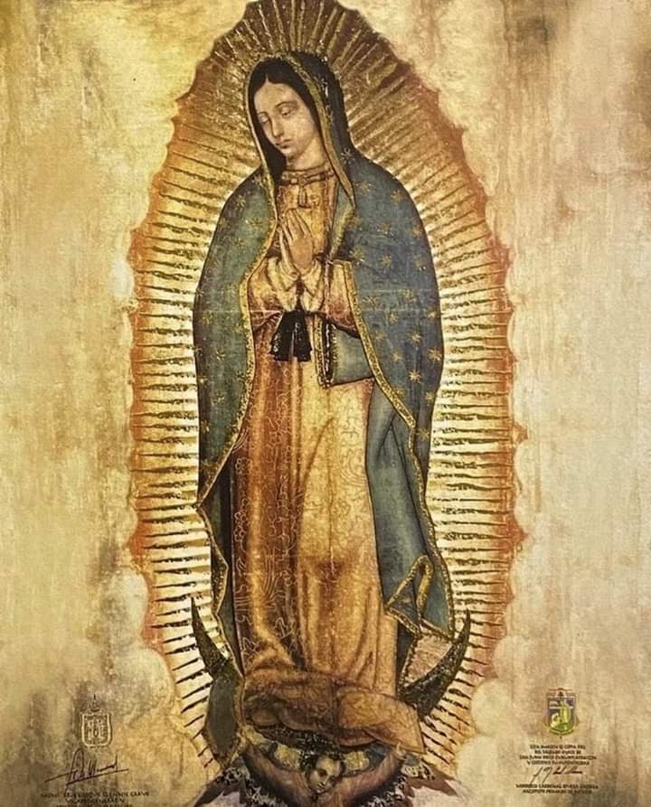 DANTE_eloficial's tweet image. “No me desampares ni de noche ni de día mi Morenita” 

❤️🥰