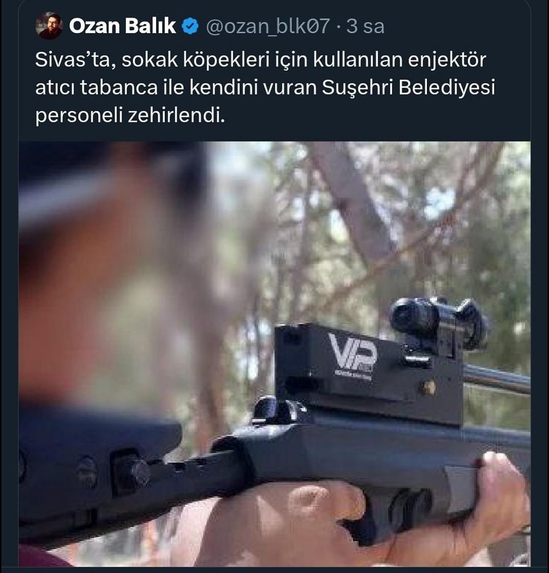 Sivasta Barınak çalışanı Tüftüf ile kendini vurmuş Tabiki Üzülmedik ama bir soru Hayvanlara attığınız tüftüfün içinde hangi madde vardı da şahıs zehirlendi ? Bu açıklama Yakalamak için değil öldürmek için iğne attığınızın itirafı mı ?
#aymyasayıi̇ptalet #türkiyedekatliamvar