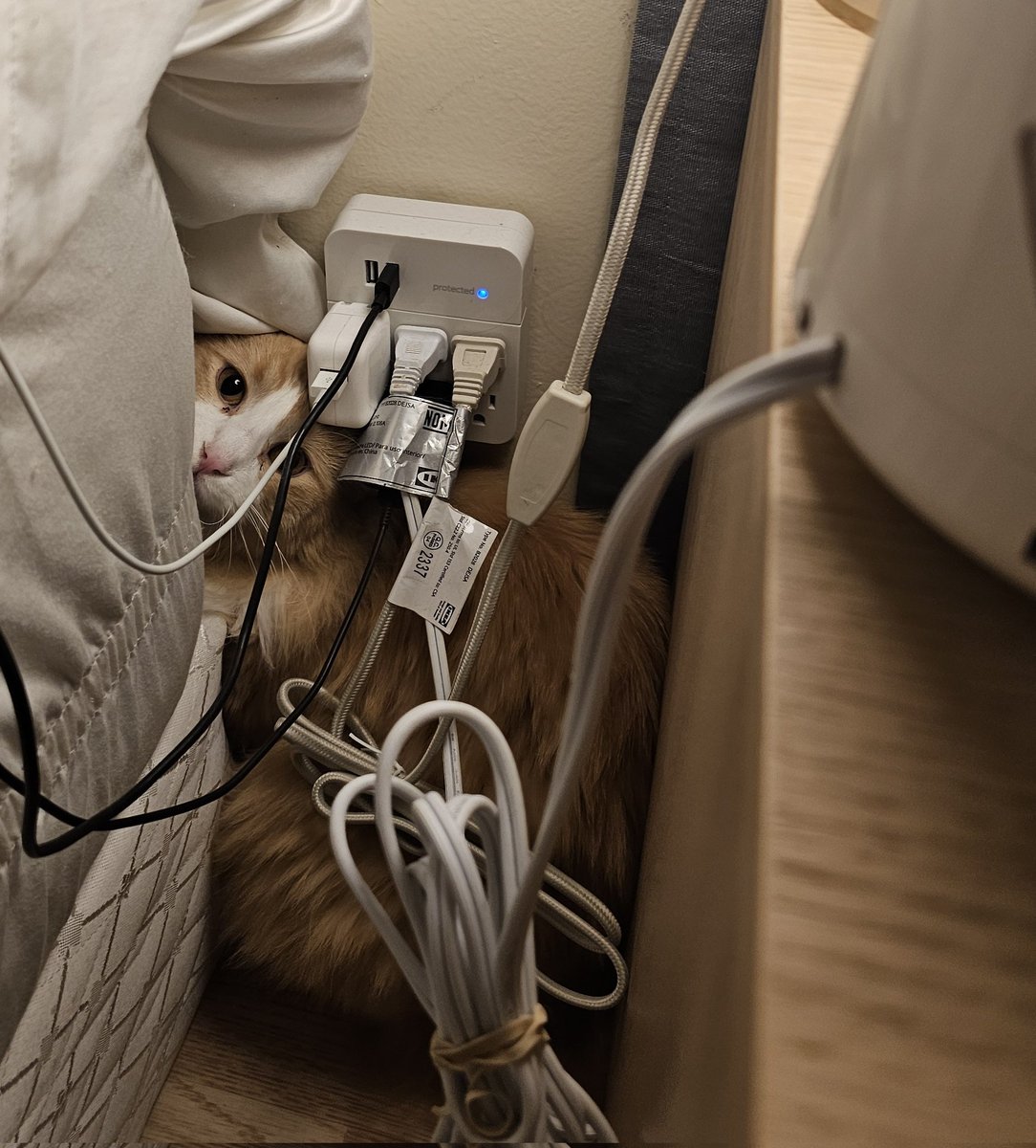 Rate my cable management