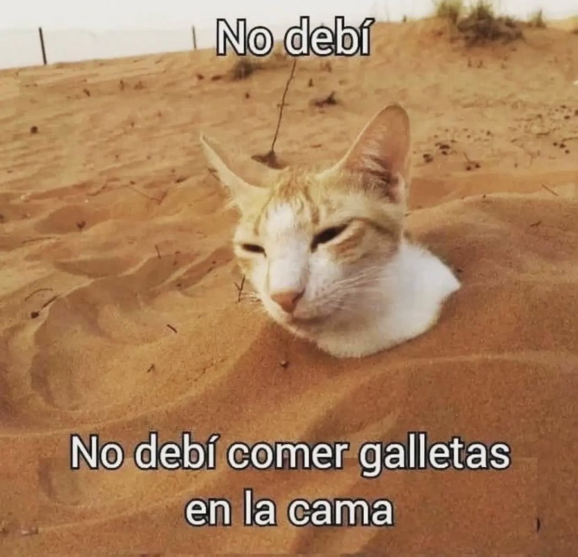 Memakker tweet media