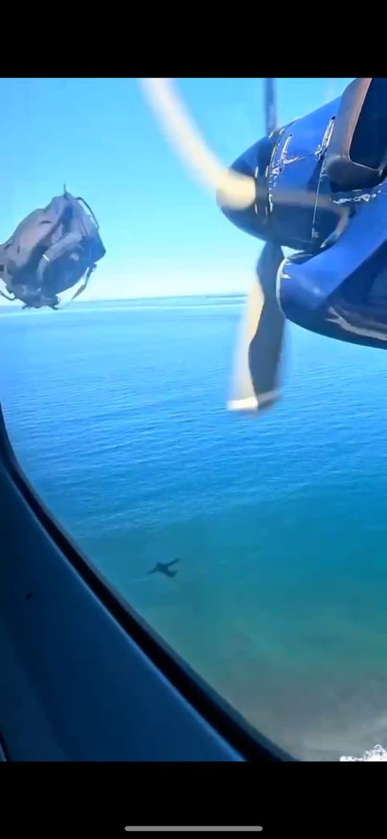 HenriqueGfly's tweet image. BIRD strike ? No , BAG strike 🤣🤣🤣🤣🤣🤣🤣🤣