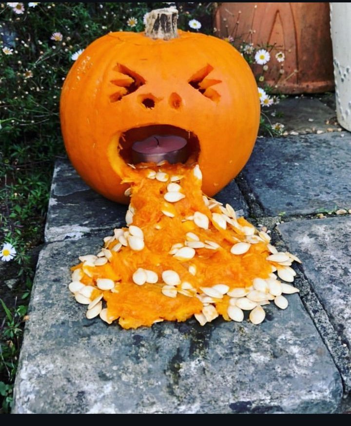 dakotah37's tweet photo. #HappyHalloween #pumpkins #TrickOrTreat2024 https://t.co/FkZaGlZqAT