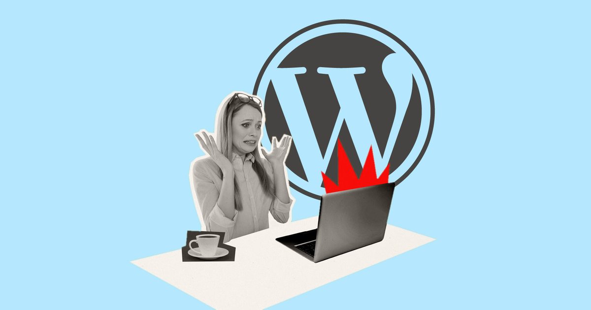 Sherry Bonelli tweet media