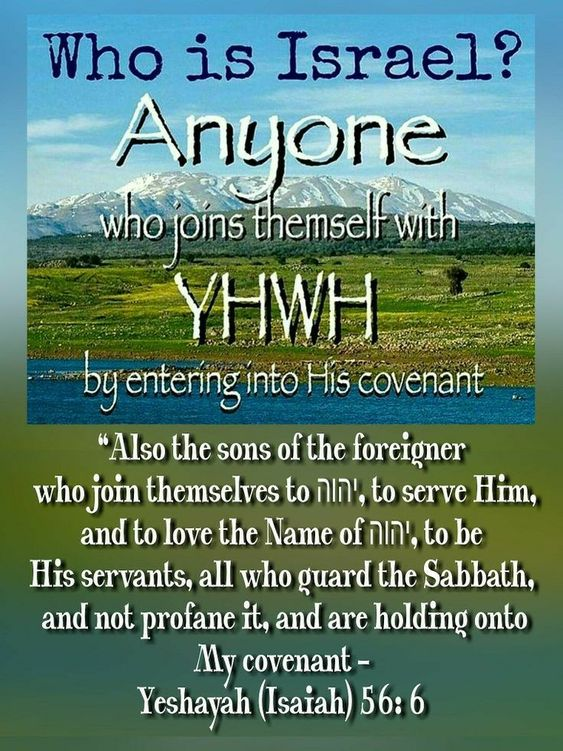 RevivingIsrael's tweet photo. @theseedstruggle @TemosdnaH Blasphemy. Exodus 12:49, Levitucs 19: 33-37 , Numbers 15:15-16, Deuteronomy 29:10-13 , Isaiah 56:5-7 , Galatians 3:7 Anybody, regardless of origin, that keeps the commandments of the Most High, IS HIS REMNANT. https://t.co/OHvapGDLKF