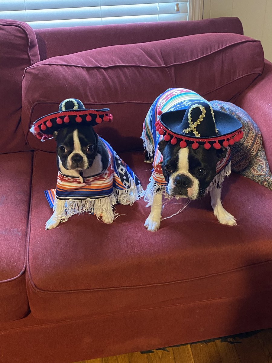 Bumi &amp; Betty, “Happy Halloween Bradley County!! Be Safe!!”