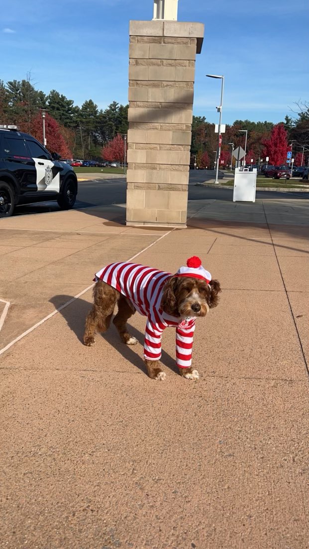 TewksburyPD's tweet photo. Officer Waffles &amp; SRO Ryser had a great time at the TMHS Trunk or Treat School Event today!  Happy Halloween &amp; please be safe tonight🐶🎃🍬🚔
TPD66 https://t.co/x6V5jpzgHy