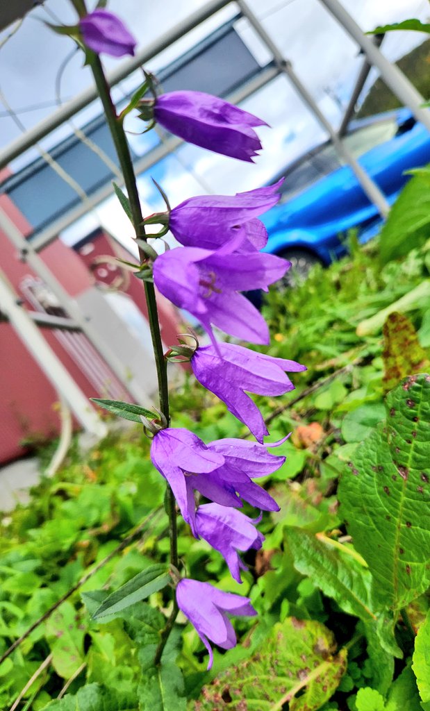 moemama_choloko's tweet image. 皆様 𝙂𝙤𝙤𝙙 𝙢𝙤𝙧𝙣𝙞𝙣𝙜 𓂃 𓈒𓏸◌
-0.5度曇りの北海道です☁
最近自炊した物です( -⤚-)ŧ‹”ŧ‹”
体調の悪い同僚が出たため、今日は内勤になりました😊
外勤はまた来週かな(๑¯ω¯๑💧)
今日から11月ですねΣ(ﾟдﾟlll)
ポストさぼってますが皆様 変わらず宜しくお願いします🙇🏻‍♀️՞