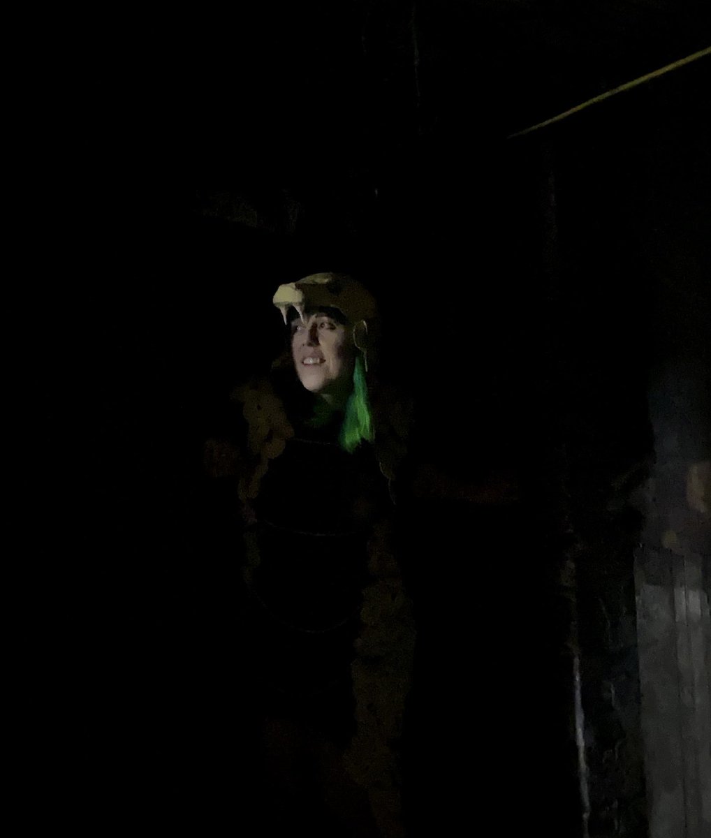 pliablehead's tweet image. When @jonathanjhiggs tells you to be the big snake but also your friends are getting married on Halloween… I give you… ✨🐍 Weddahornis 🐍✨ 

#everythingeverything #mountainhead #creddahornis #hallowE_E_n