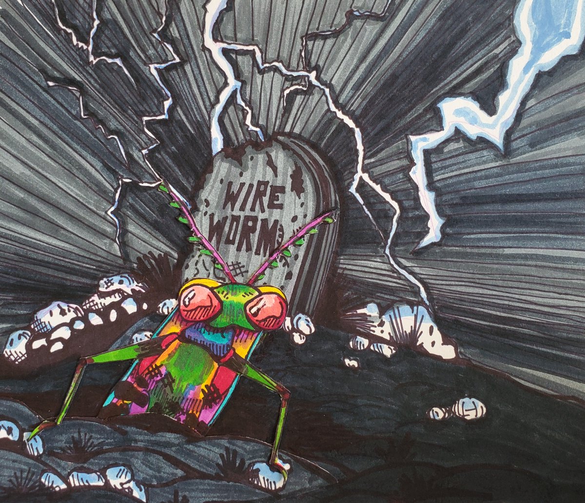 WIREWORM tweet media