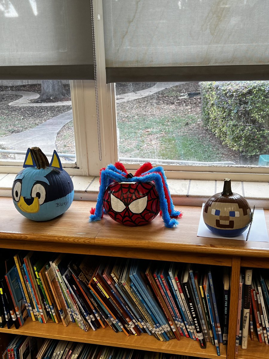 SSConner Library tweet media