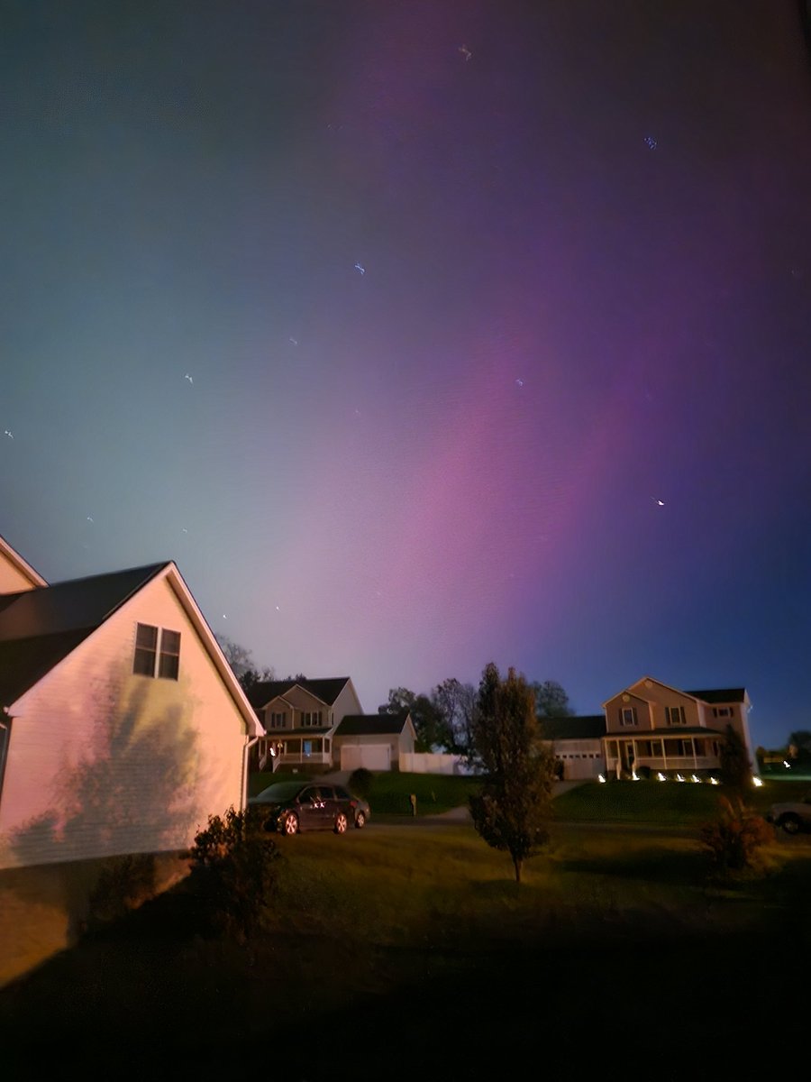 Todd Lynn tweet media