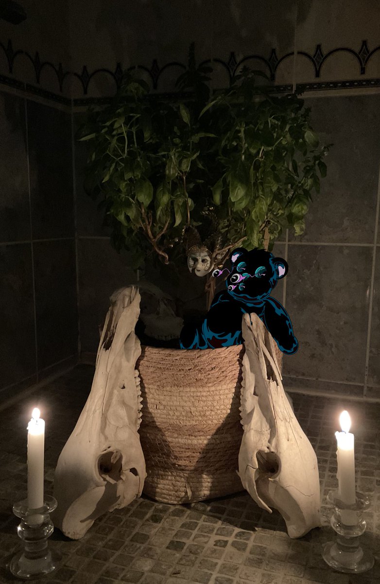 🧸We Are All Teddy🐍🧸 tweet media