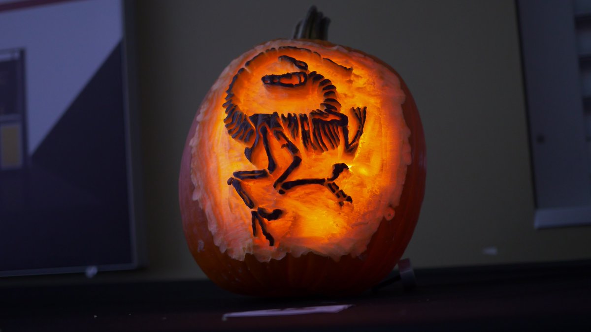 OrbusDisplays's tweet image. Today, Orbus hosted its first Halloween pumpkin carving and decorating contest! These pumpkins are a testament to how creative and talented our team is. Comment your favorite!

 #CreativeTeam #HalloweenFun #TeamBuilding #PumpkinDecorating #PumpkinCarving #OfficeCulture