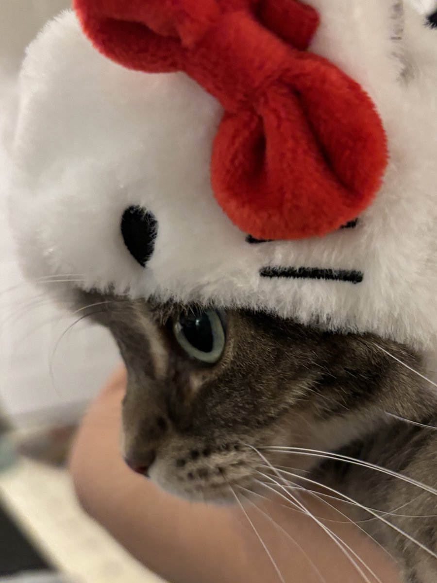 Trick or treat! Happy Halloween! 😻💕