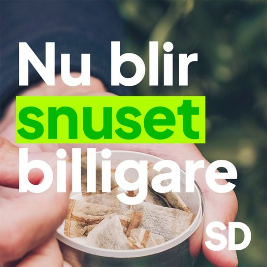 SDSTEFFE tweet media