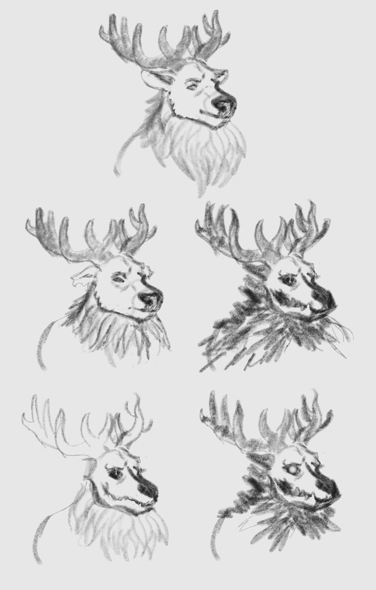 alephdraws's tweet photo. Wolf knight Zanzibart barely survived to protect his liege from those who would oppose the ritual. The plague is cleansed, but at what cost... The ordeal changed them irreversibly, especially the deer lord, as the gems of the fallen heroes embed in him and eat away at his flesh https://t.co/mn2cND4la8