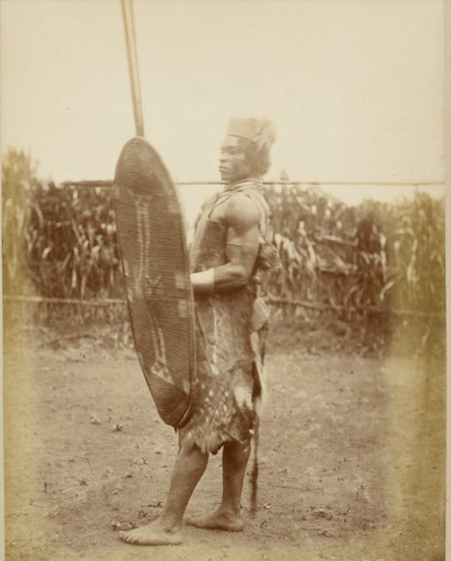 African crowns tweet media