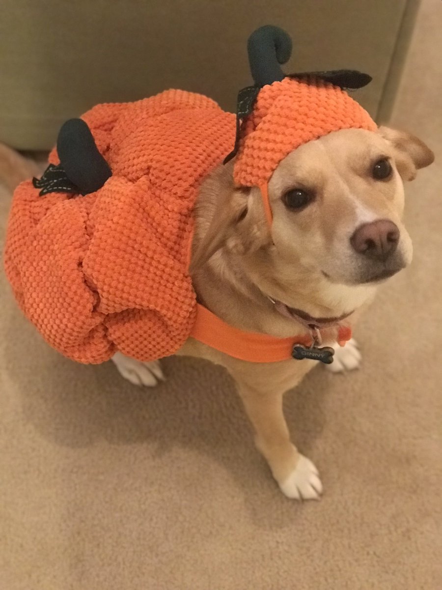 MissFitzReading tweet media