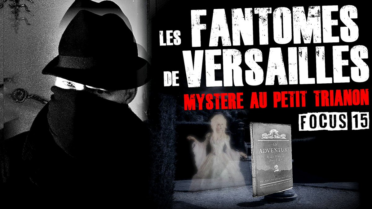 REVELATEUR X tweet media