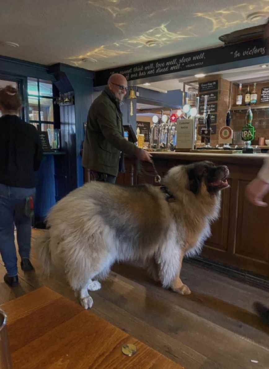 CryptoKate802's tweet image. Is boro 🍌 on your radar?