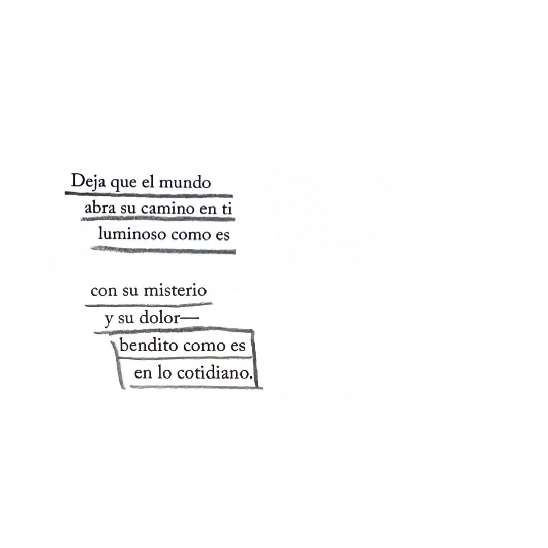 camila mermet tweet media