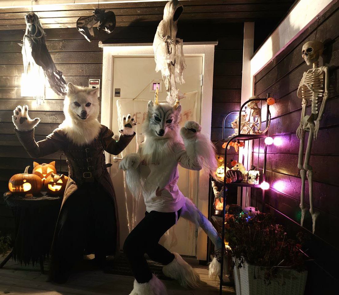wolf_rivia's tweet image. Halloween suiting with Trick or Treat🎃
Made by #clockworkcreature #fursuit #Halloween
#halloweencostume