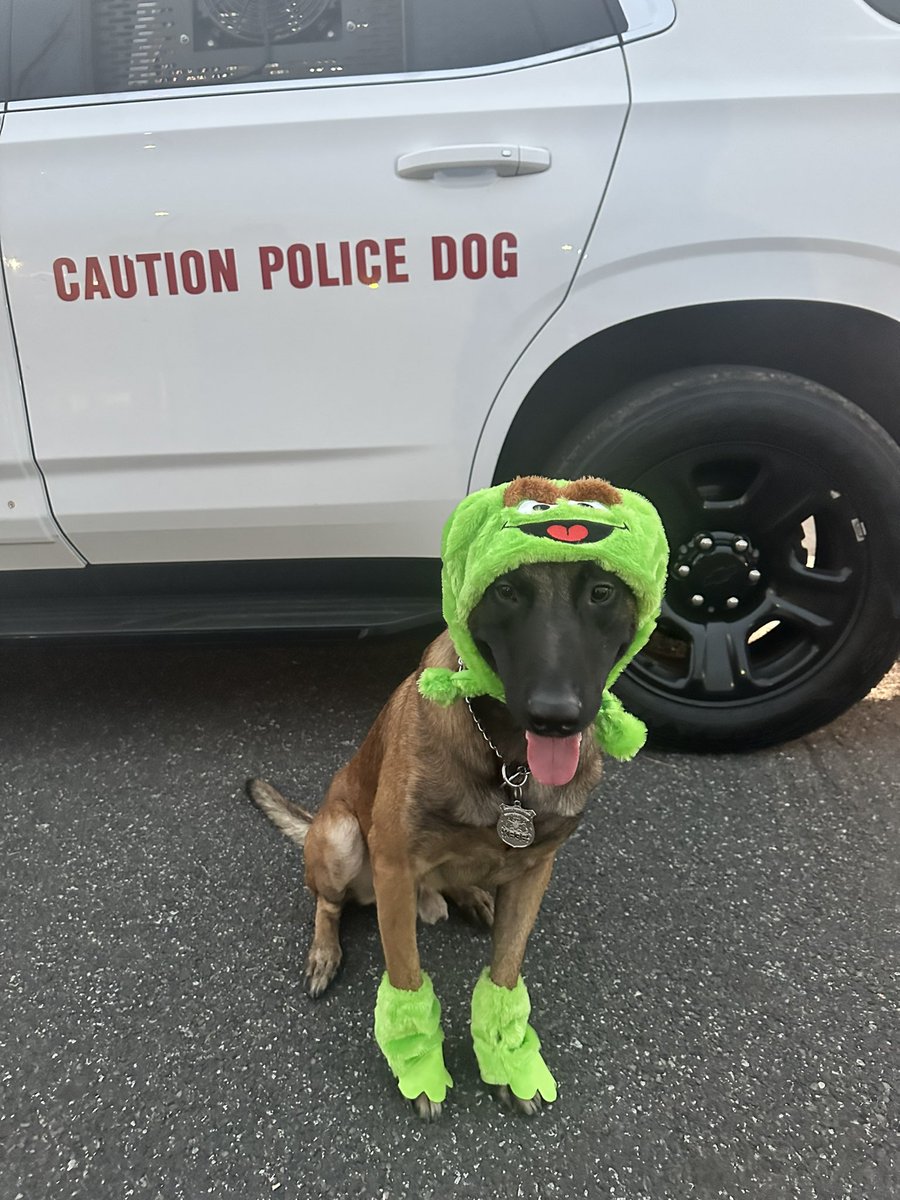 PPDCanineUnit's tweet image. Sergeant Johnson &amp;amp; K9 Red are ready for Halloween