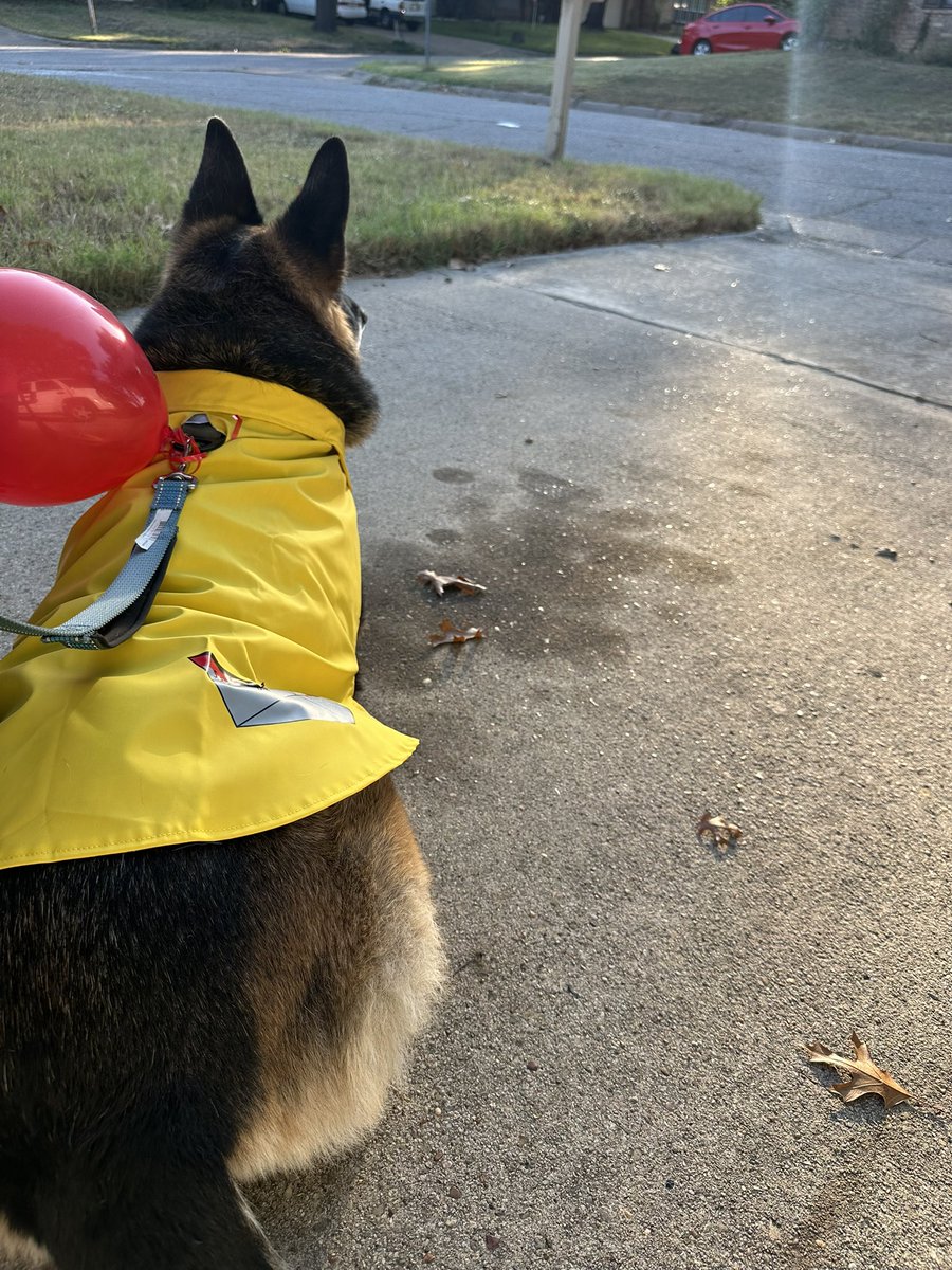 Kate Harbert tweet media