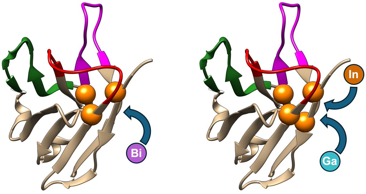 Christoph Nitsche tweet media