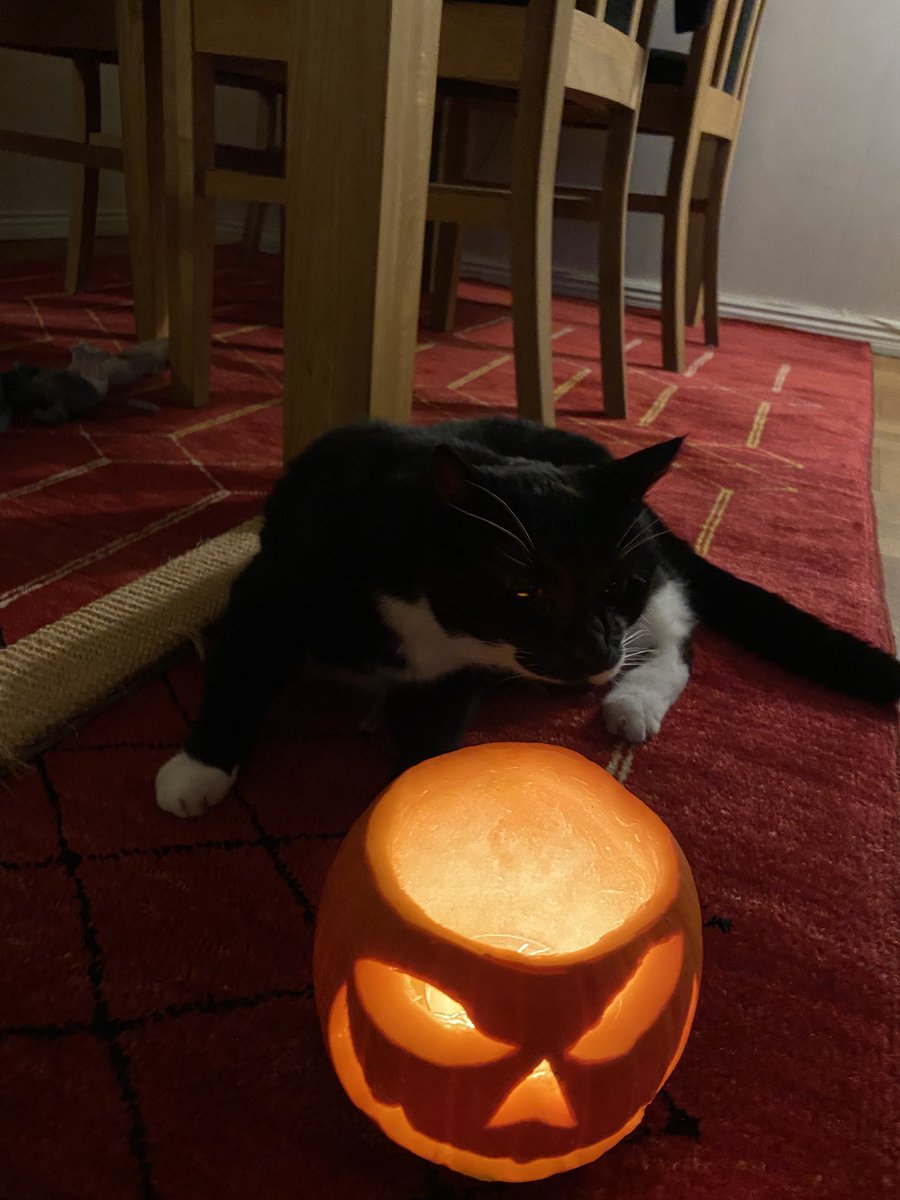 Happy Halloween! 🎃 #Halloween #HappyHalloween #Halloween2024 #HappyHalloween2024 #Pumpkin #Pumpa #JackoLantern #TrickOrTreat