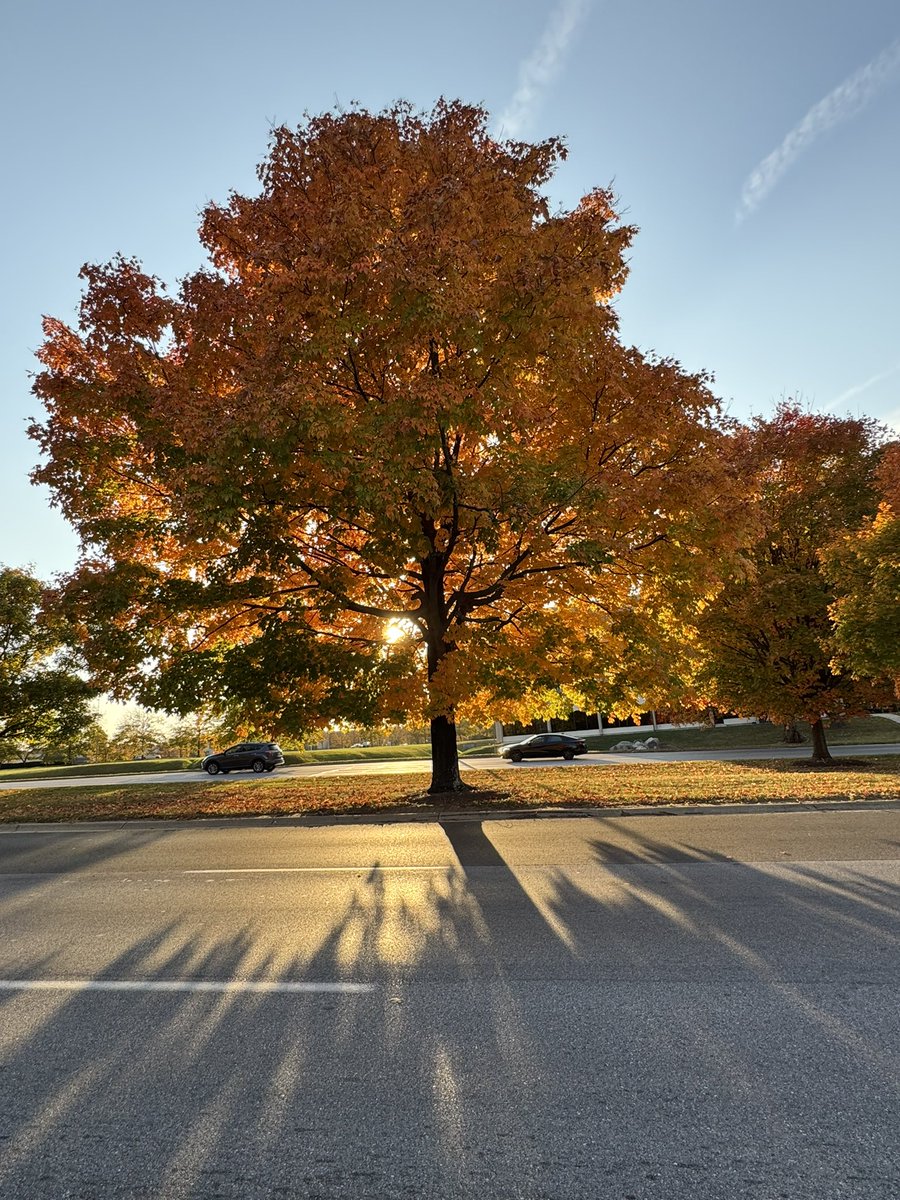 DaveSG's tweet photo. @capitalweather #CWGFALL. Columbia MD. https://t.co/vhsbI99gRh