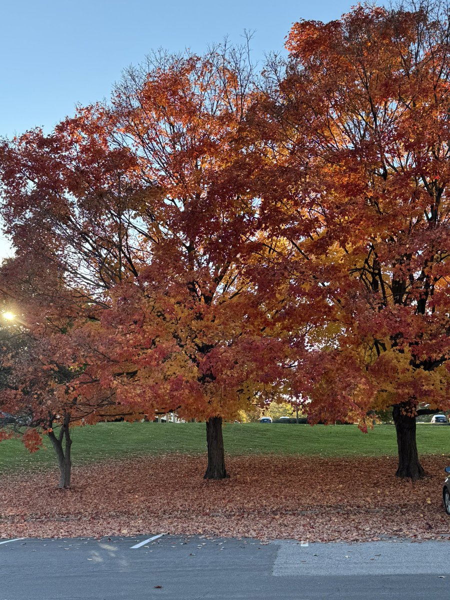DaveSG's tweet photo. @capitalweather #CWGFALL. Columbia MD. https://t.co/vhsbI99gRh