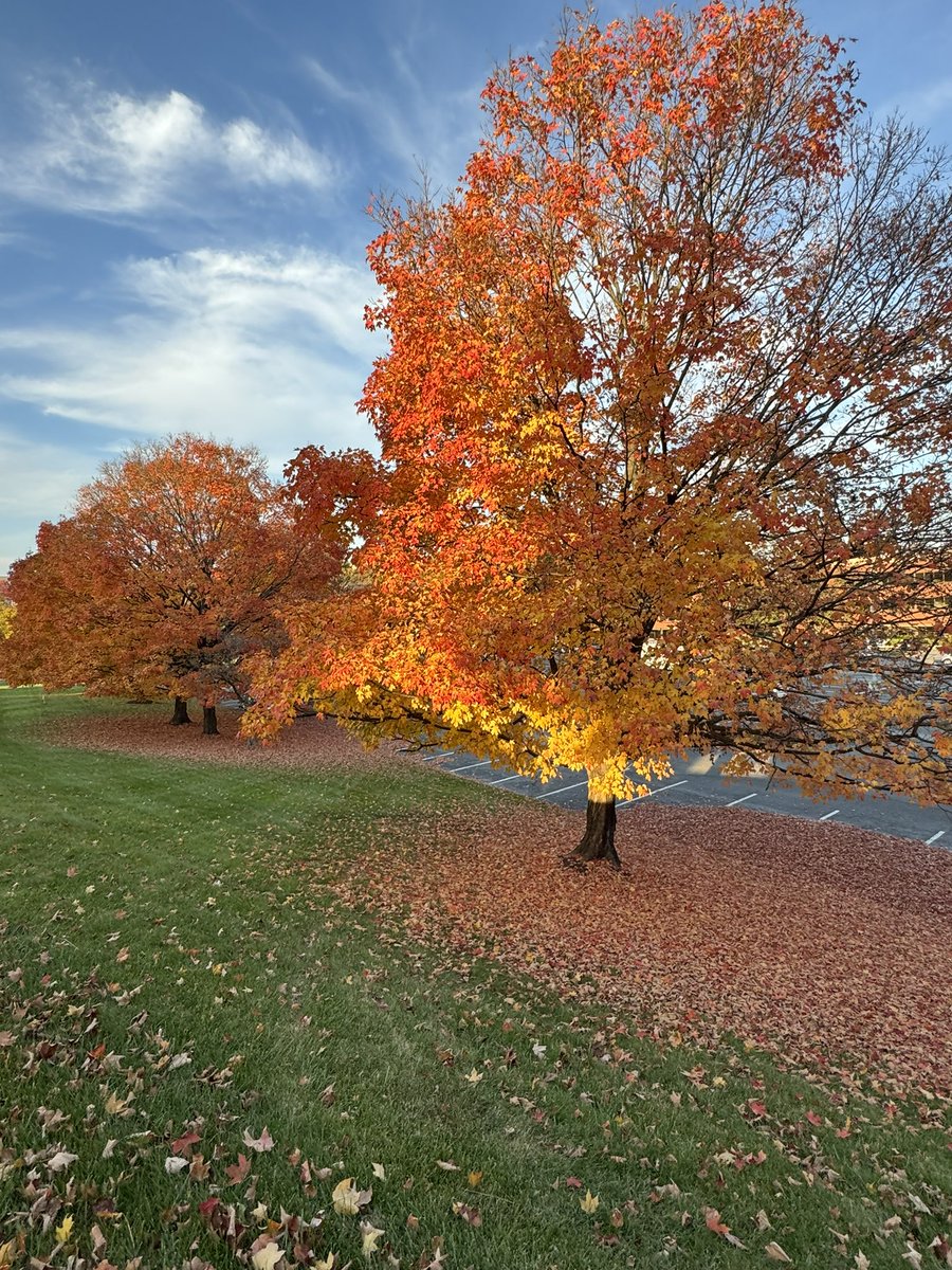 DaveSG's tweet photo. @capitalweather #CWGFALL. Columbia MD. https://t.co/vhsbI99gRh