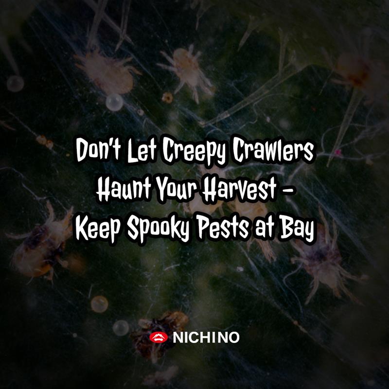 NichinoAmerica's tweet photo. This Halloween, Nichino is on a mission to guard your crops from spooky pests! We've got you covered against creepy crawlers haunting your fields from planting to harvest. 🎃 
Happy Halloween from the team dedicated to protecting your agricultural treasures! https://t.co/eYEzwN8mry