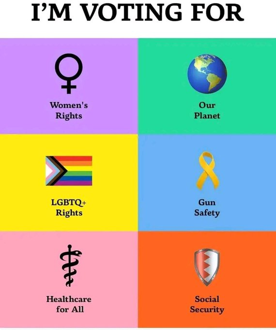 ToutSuiteSinner's tweet photo. I'm #VotingBlue. https://t.co/OOPFZ7dOC7
