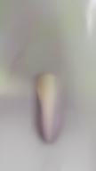First coherent training image from a new NeRF project combining NVIDIA Warp and fVDB.  Goodbye, hand-coded analytical gradients.  Hello differentiable kernels! #computervision #neuralfields #nerf