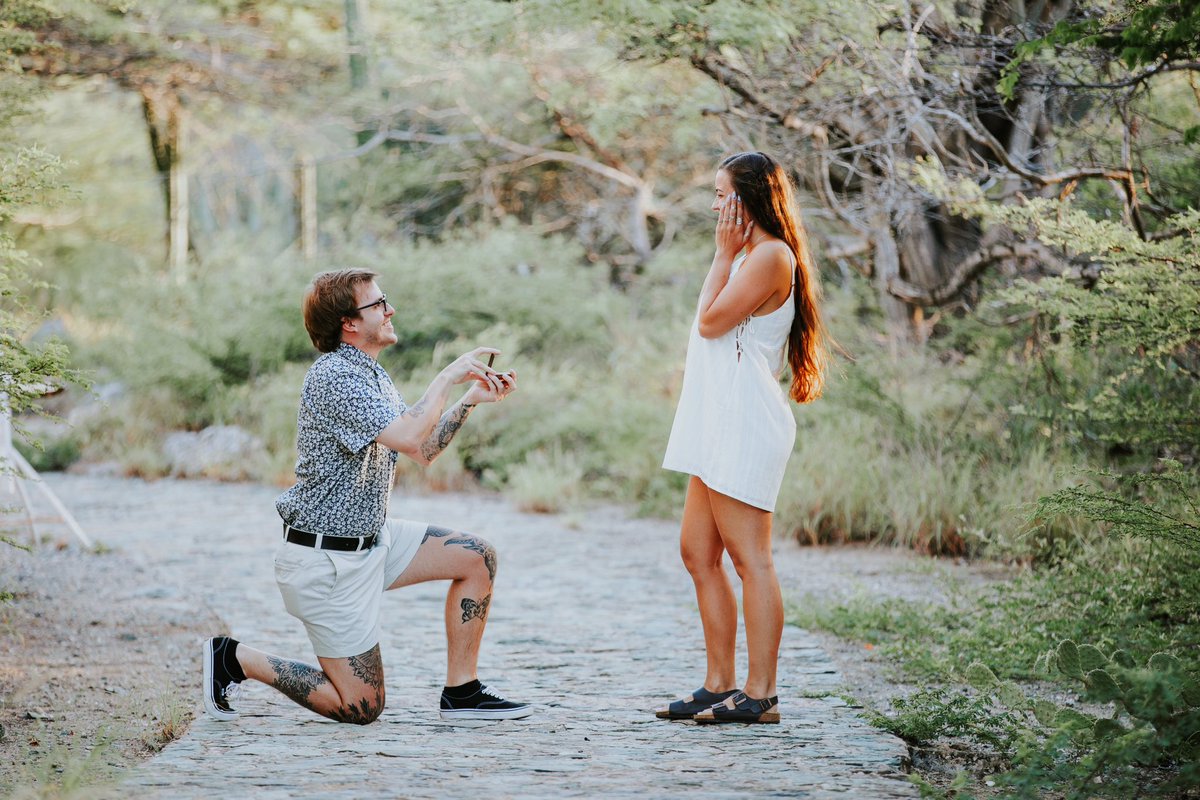 Sketti 🍝 tweet media