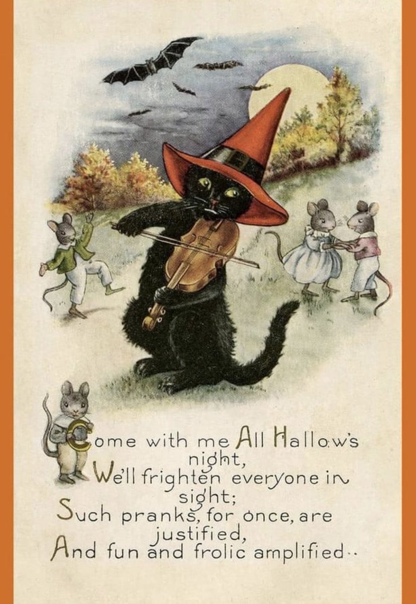 Kitty O'Neal (@kittyonealsac) on Twitter photo 