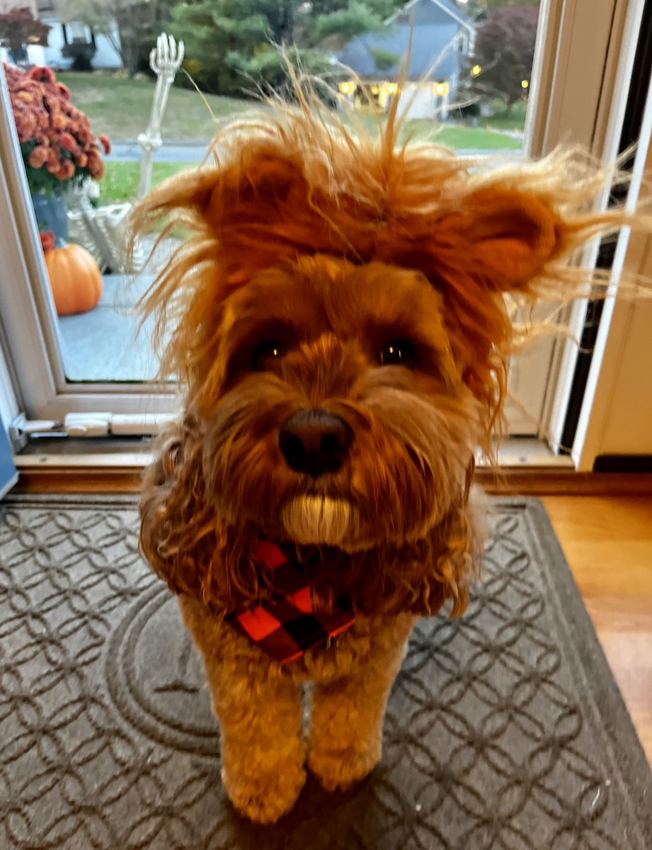 Megan Litwin tweet media