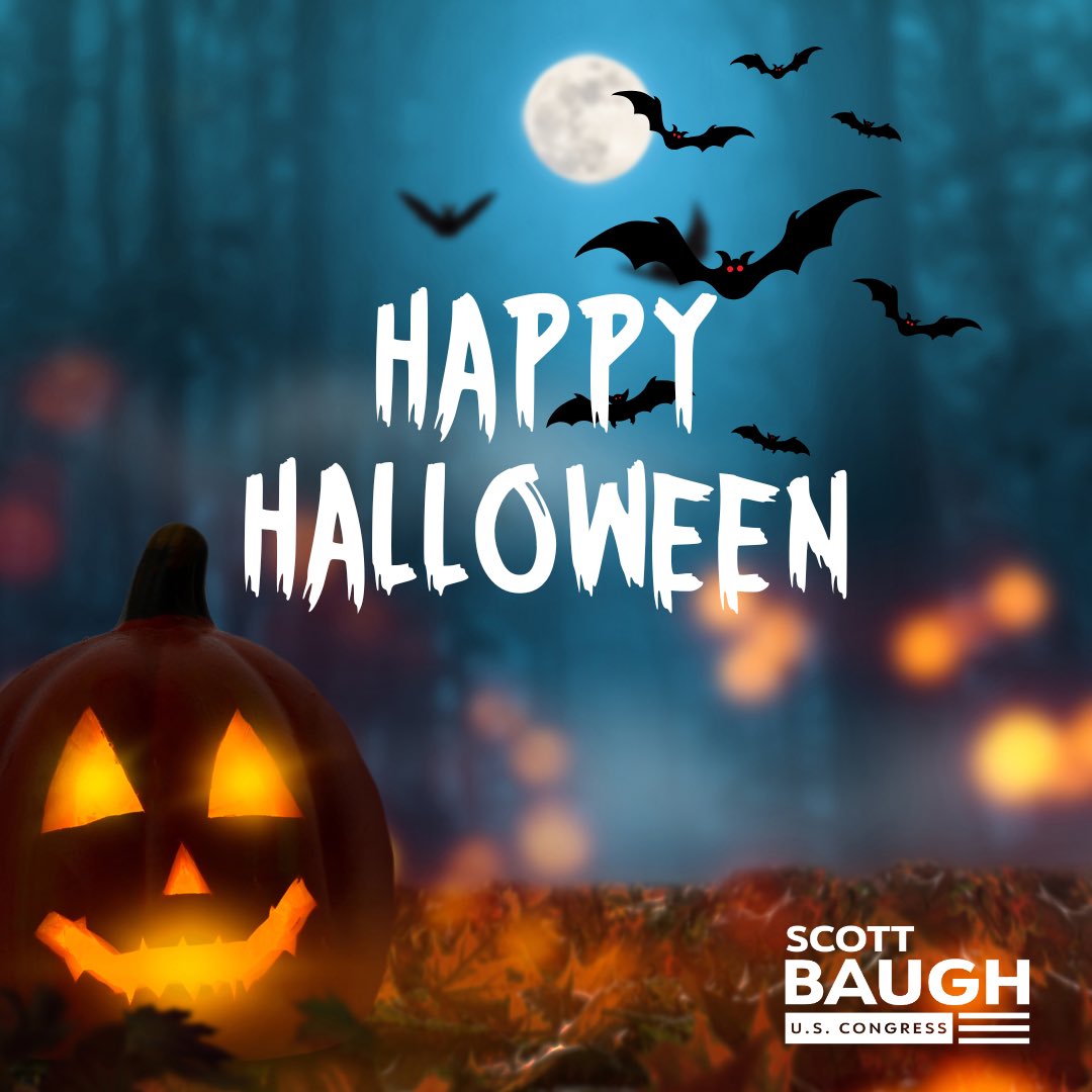 Scott Baugh tweet media