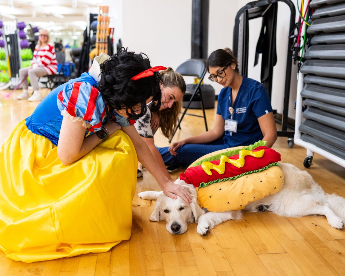 UTMDAnderson's tweet photo. Furry friends donned their Halloween finest today while spending time with our employees, while they relieved some stress and delighted in the festivities. #PawsForTherapy #Halloween #MDAnderson #MDAndersonCancerCenter #EndCancer https://t.co/82aTr7uO6Y