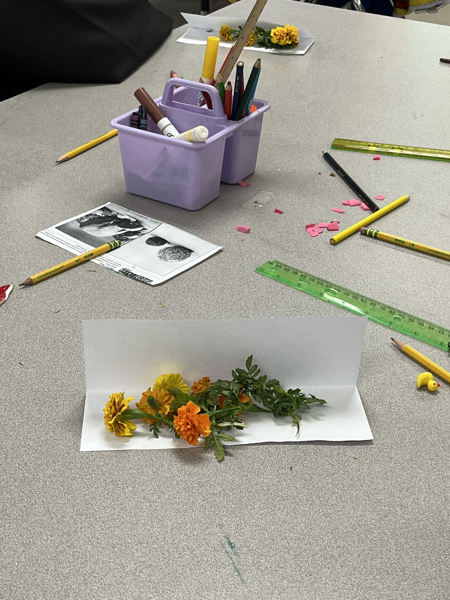 Esmeralda Del Rosario tweet media