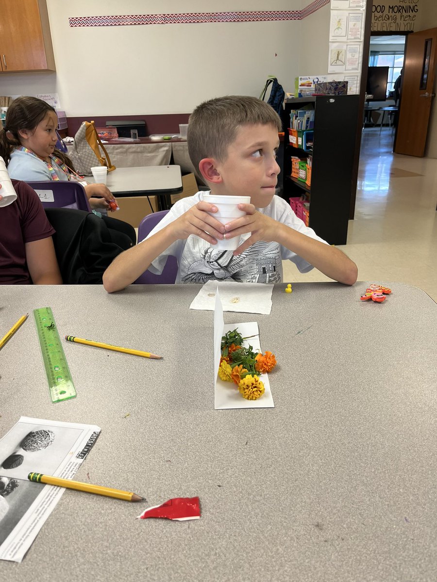 Esmeralda Del Rosario tweet media