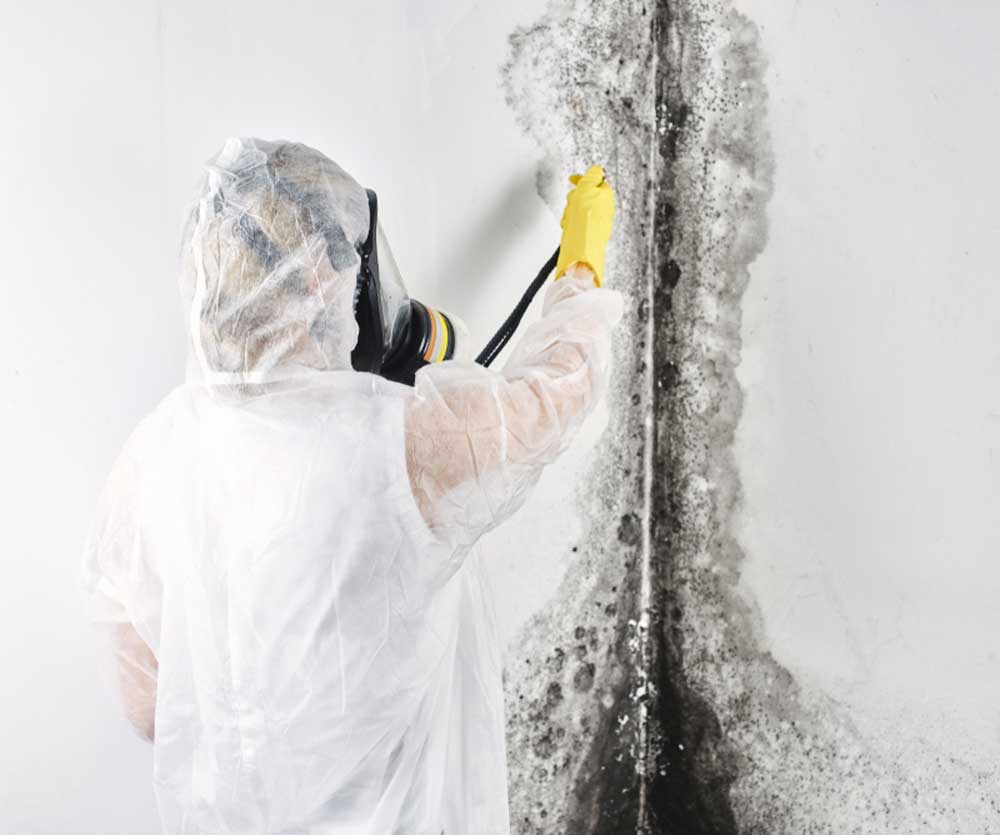 trustedlocaluk's tweet image. Has the recent wet weather caused damp or mold in your home? Acting early can save you thousands in repairs and renewals... Book a FREE damp survey today and put your mind at rest northwestdampproofing.co.uk/our-services/f…  #MoldPrevention #FreeDampSurvey #DampProblems