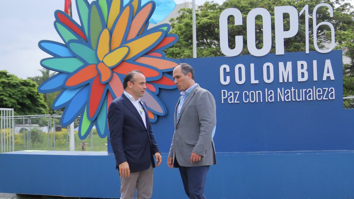 Alcaldía de Cali (@alcaldiadecali) on Twitter photo ¡Cali la sacó del estadio en la #COP16!
Junto a <a href="/ChevroletCo/">Chevrolet Colombia</a> tuvimos la flota de transporte eléctrico más grande en una cumbre en Colombia. Más de 30 mil km recorridos, 820 personas transportadas y 6,2 toneladas de CO2 menos en el ambiente. ¡Un paso más a una #CaliSostenible! ¡Cali la sacó del estadio en la #COP16!
Junto a <a href="/ChevroletCo/">Chevrolet Colombia</a> tuvimos la flota de transporte eléctrico más grande en una cumbre en Colombia. Más de 30 mil km recorridos, 820 personas transportadas y 6,2 toneladas de CO2 menos en el ambiente. ¡Un paso más a una #CaliSostenible!