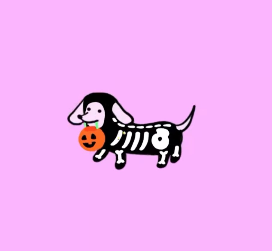 anaferml's tweet photo. happy halloweenie 🎃🐾 https://t.co/Jo8yo10VDu