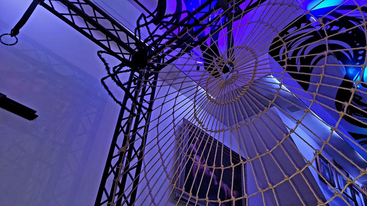 Danarama (18+) tweet media