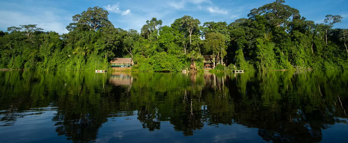 UNESCOperu's tweet image. Presentamos el #ProyectoAmazonía resaltando su contribución en la protección de biodiversidad amazónica a través de la gobernanza integrada e inclusiva de 8 #ReservasDeBiosfera en Bolivia, Ecuador, Brasil y Perú.
#COP16Colombia #PazConLaNaturaleza 

+Info: unesco.org/es/amazon-bios…