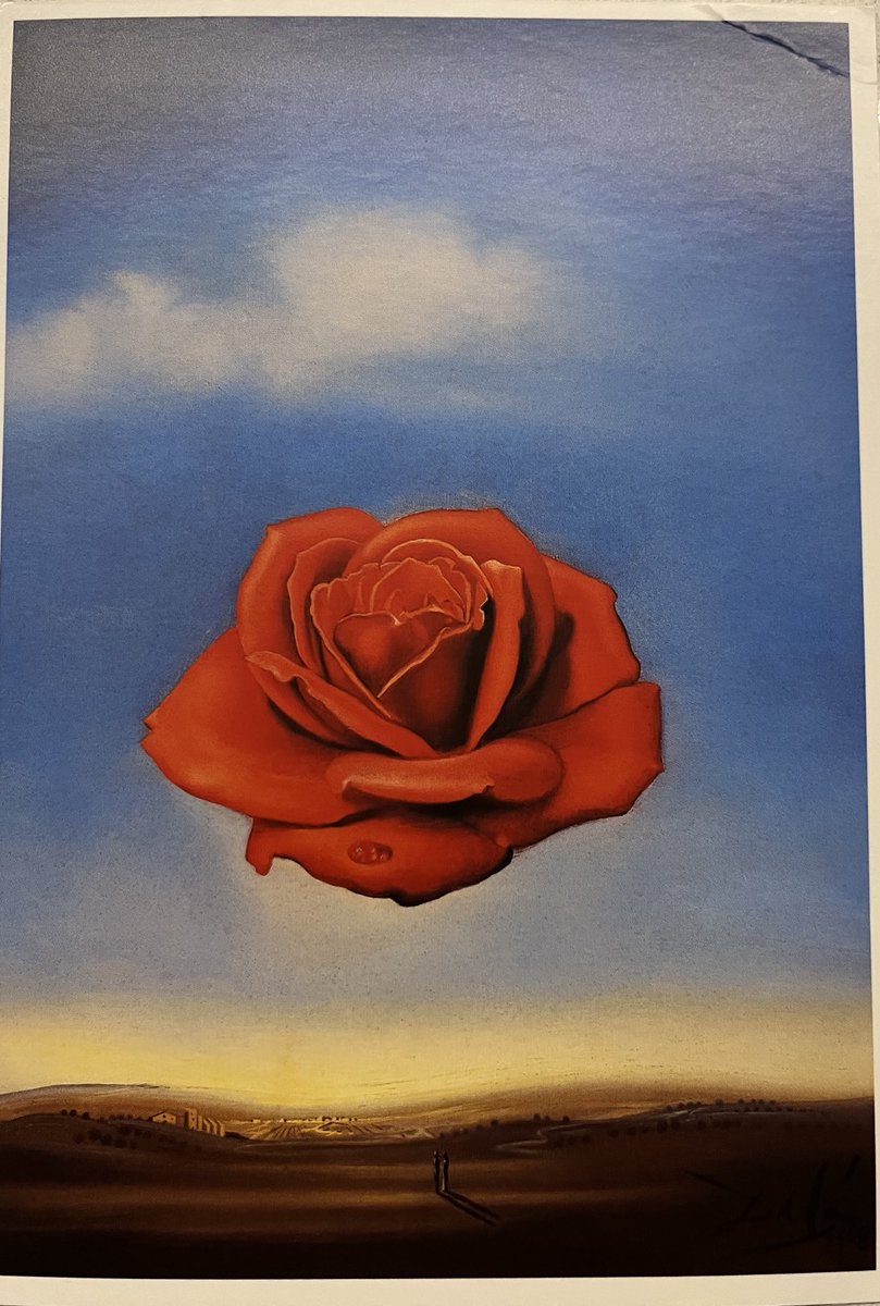 edwina_mulcahy's tweet image. #QualitativeAnalysis unpicking the meanings of life…